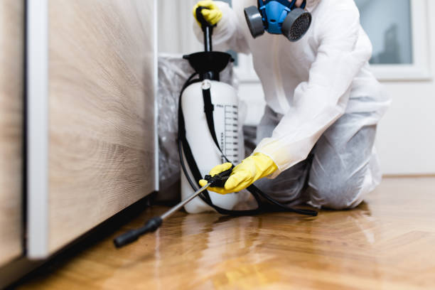 Best Pest Control Treatment  in Griswold, IA