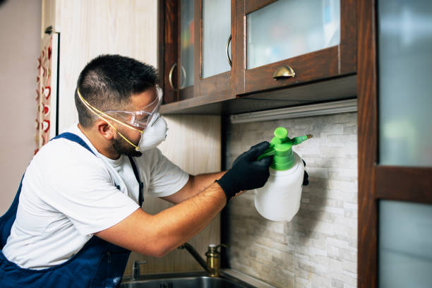 Best Local Pest Control Services  in Griswold, IA