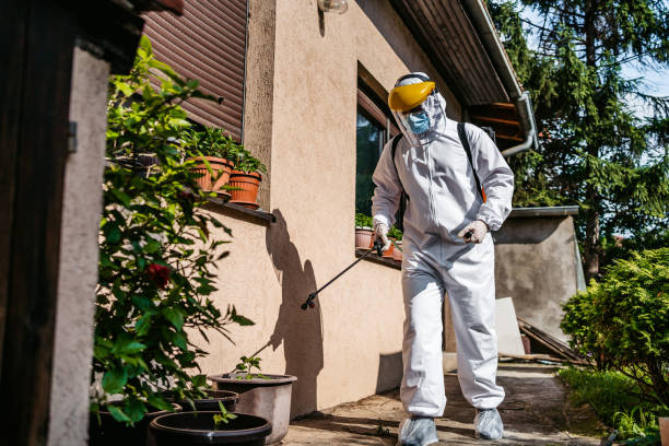 Best Pest Prevention Services  in Griswold, IA