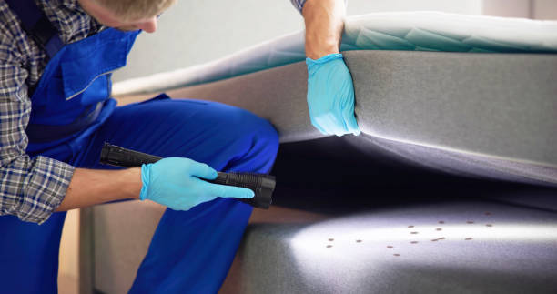Best Exterminator Services  in Griswold, IA