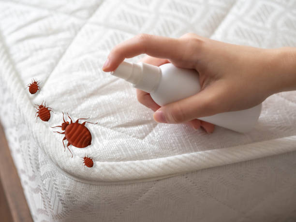 Best Mosquito Control Services  in Griswold, IA