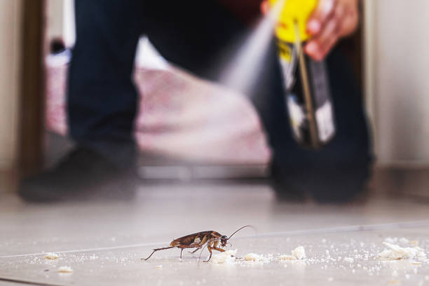 Wildlife Control Services in Griswold, IA