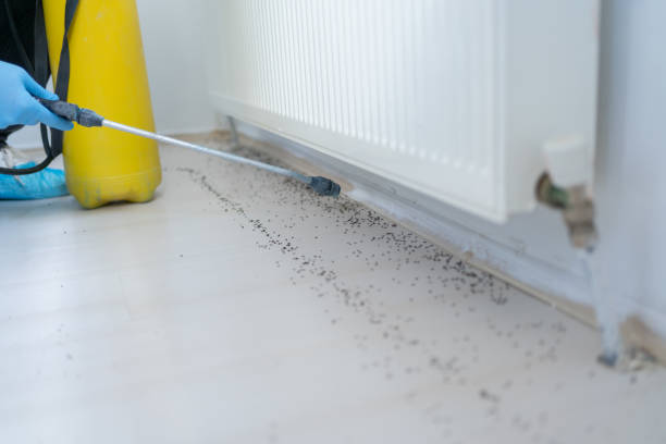 Best Cockroach Control Services  in Griswold, IA