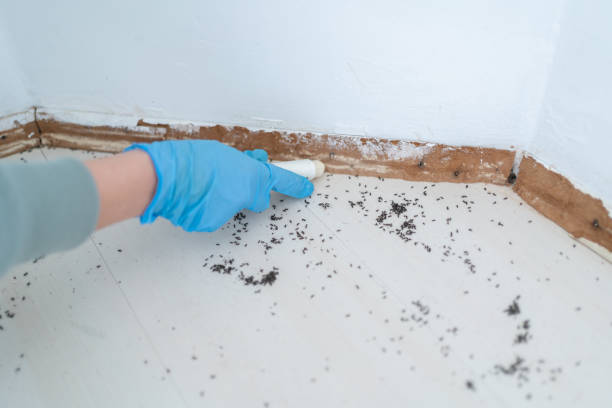 Best Best Pest Control Companies  in Griswold, IA