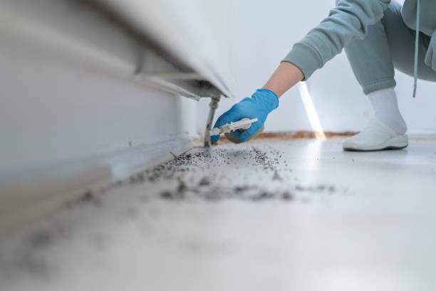 Best Pest Removal Services  in Griswold, IA