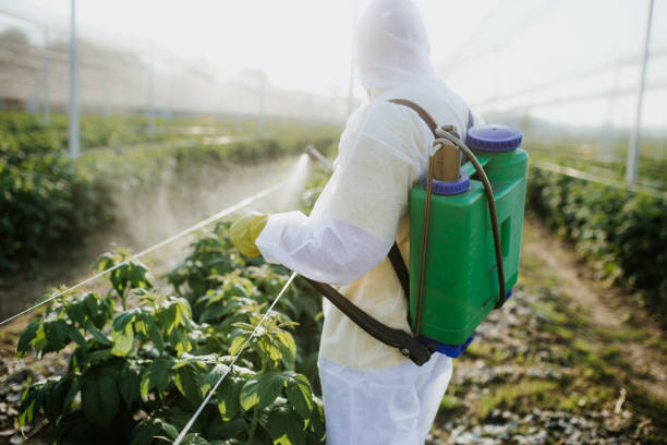 Best Exterminator Services  in Griswold, IA
